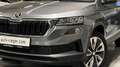 Skoda Karoq Style 4x4 AHK LED, ACC, Kamera Grau - thumbnail 19