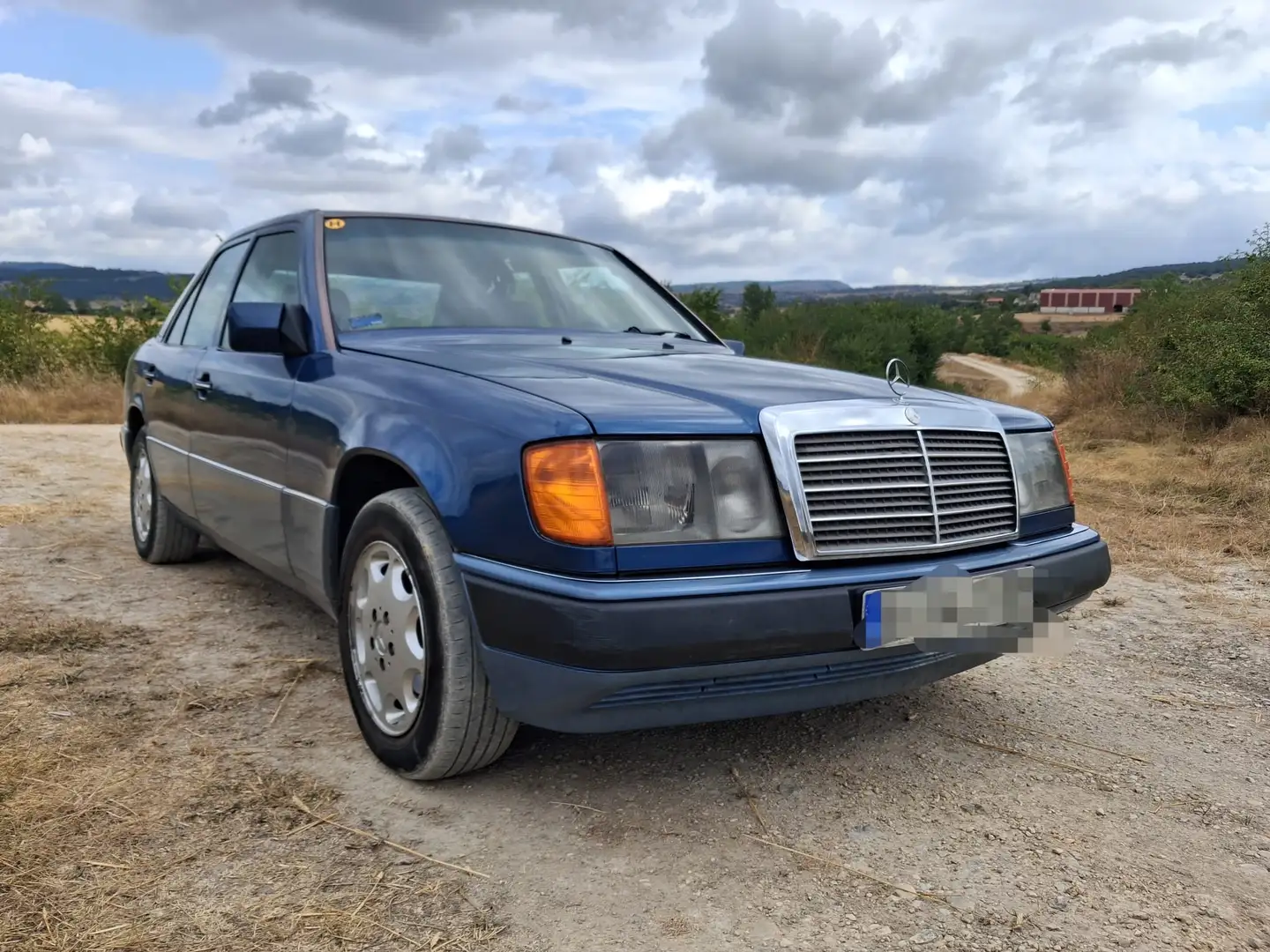 Mercedes-Benz 320 Mercedes-Benz W124 320E 24v 1993 Azul - 1