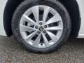 Skoda Scala 1,0 TSI Selection Weiß - thumbnail 3