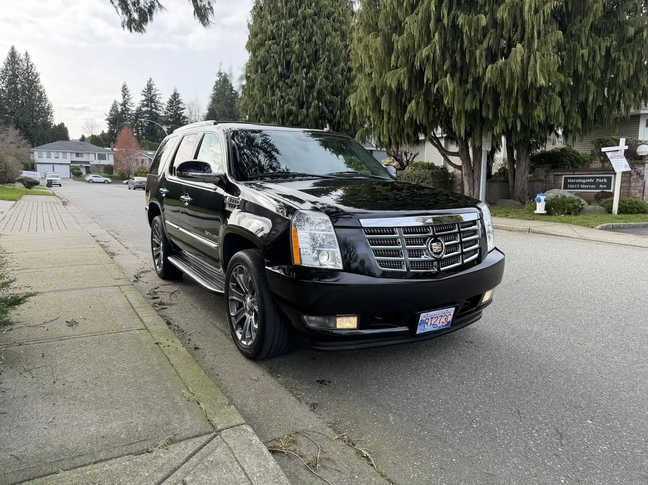 2010 Cadillac Escalade
