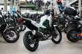 Kawasaki KLE 500 SE ABS, 4JAHRE GARANTIE,sofort lieferbar Blanco - thumbnail 6