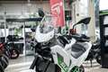 Kawasaki KLE 500 SE ABS, 4JAHRE GARANTIE,sofort lieferbar Blanco - thumbnail 19