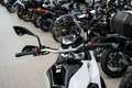 Kawasaki KLE 500 SE ABS, 4JAHRE GARANTIE,sofort lieferbar Blanco - thumbnail 12