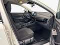 Nissan Qashqai 4x4 MHEV Xtronic N-Connecta Winter/Busines Weiß - thumbnail 9