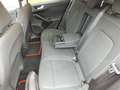 Ford Focus Focus Traveller 1,5 EcoBlue Titanium Titanium Rot - thumbnail 5