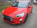 Ford Focus Focus Traveller 1,5 EcoBlue Titanium Titanium Rot - thumbnail 7
