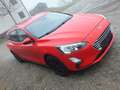 Ford Focus Focus Traveller 1,5 EcoBlue Titanium Titanium Rot - thumbnail 9
