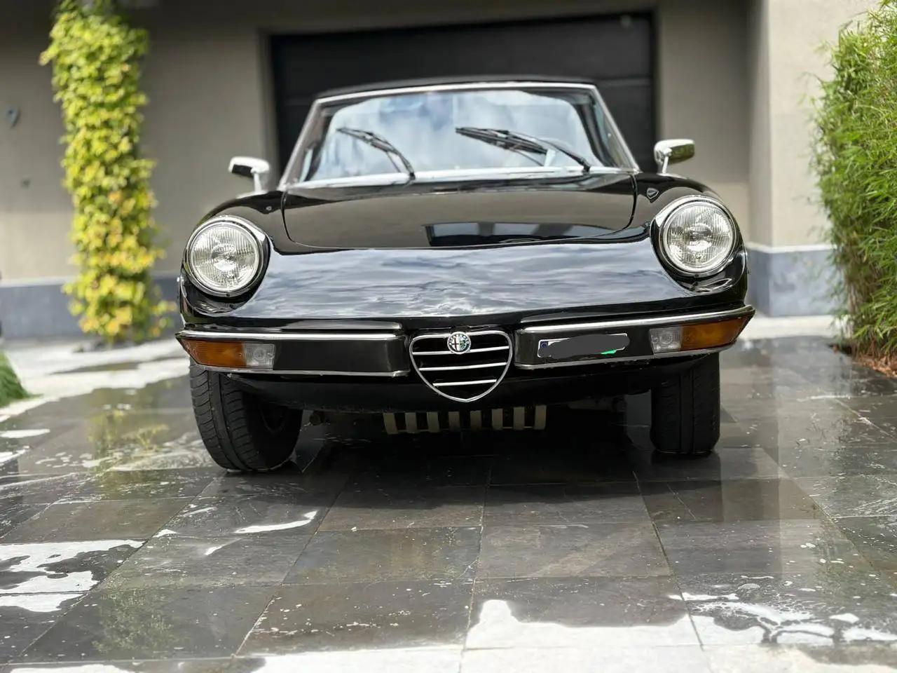 Alfa Romeo Spider 115.38, foto 1