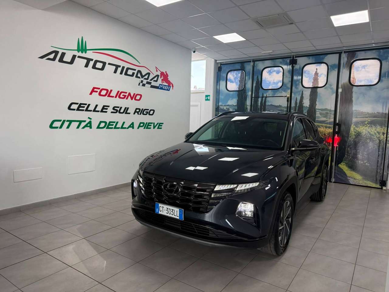 Hyundai TUCSON Tucson III 2021 1.6 crdi 48V 2wd
