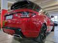 Land Rover Range Rover Sport 3000 D I6 MHEV CV.249  KM.31.500 DYNAMIC STEALTH Rosso - thumbnail 3