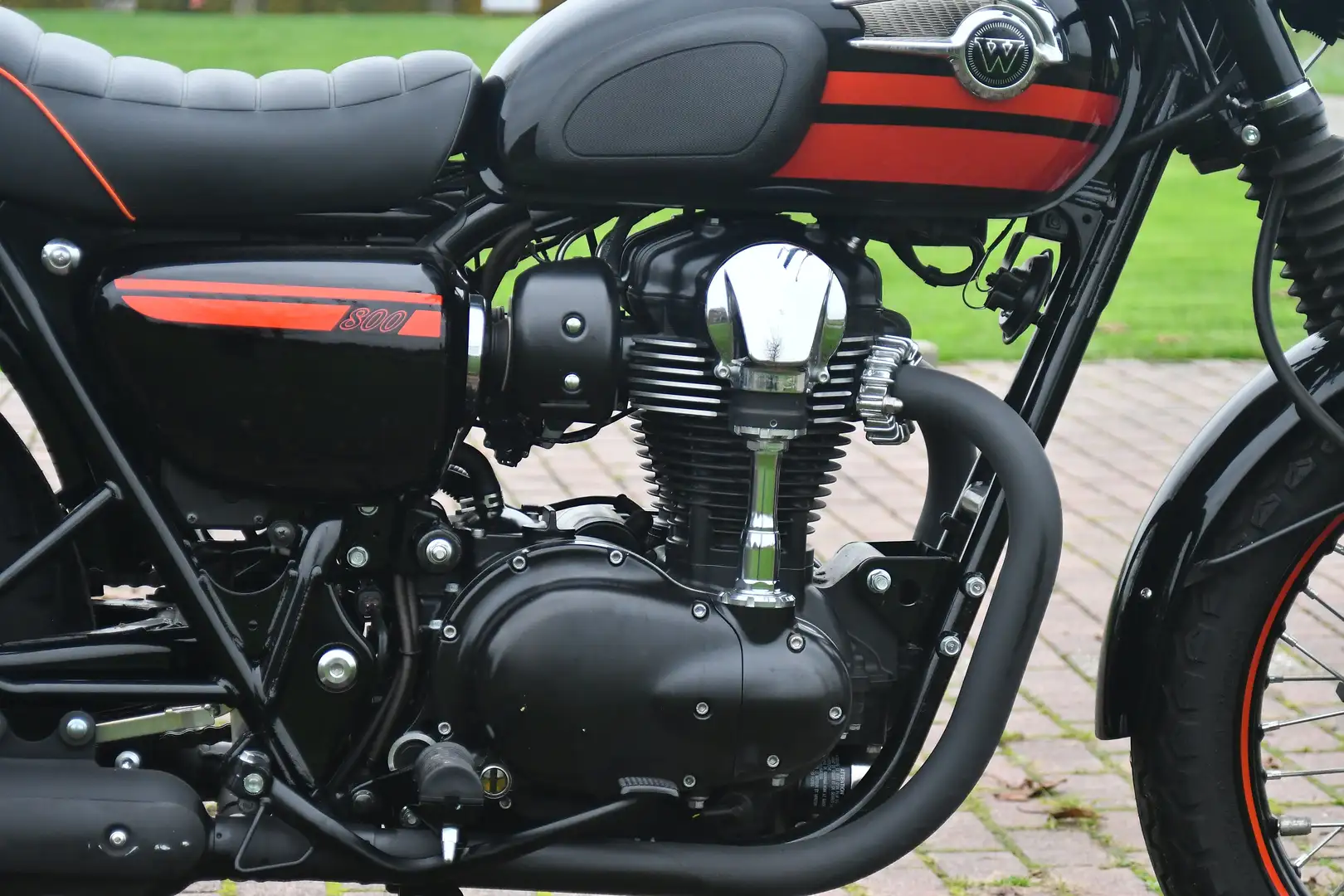 Kawasaki W 800 Special Edition - 2