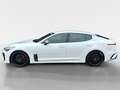 Kia Stinger 2.0 T-GDI GT-Line +Automatik+Navi+R.Kam++ Weiß - thumbnail 3