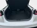 Kia Stinger 2.0 T-GDI GT-Line +Automatik+Navi+R.Kam++ Weiß - thumbnail 12