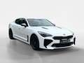 Kia Stinger 2.0 T-GDI GT-Line +Automatik+Navi+R.Kam++ Weiß - thumbnail 7