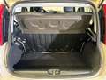 Fiat Panda 1.2 69cv EasyPower E6 Easy Beige - thumbnail 11