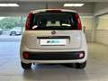 Fiat Panda 1.2 69cv EasyPower E6 Easy Beige - thumbnail 4