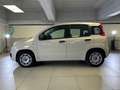 Fiat Panda 1.2 69cv EasyPower E6 Easy Beige - thumbnail 2