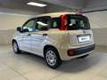 Fiat Panda 1.2 69cv EasyPower E6 Easy Beige - thumbnail 3