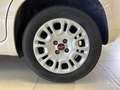 Fiat Panda 1.2 69cv EasyPower E6 Easy Beige - thumbnail 7