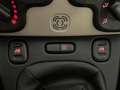 Fiat Panda 1.2 69cv EasyPower E6 Easy Beige - thumbnail 17