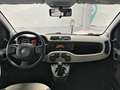 Fiat Panda 1.2 69cv EasyPower E6 Easy Beige - thumbnail 8