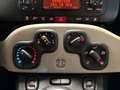 Fiat Panda 1.2 69cv EasyPower E6 Easy Beige - thumbnail 15