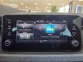 Skoda Scala Selection TSI DSG Weiß - thumbnail 11
