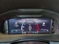 Skoda Scala Selection TSI DSG Weiß - thumbnail 10