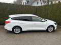 Ford Focus Traveller 1,5 EcoBlue Titanium Weiß - thumbnail 4