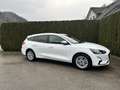 Ford Focus Traveller 1,5 EcoBlue Titanium Weiß - thumbnail 20