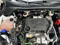 Ford Focus Traveller 1,5 EcoBlue Titanium Weiß - thumbnail 17