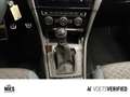 Volkswagen Golf VII IQ. Drive 1.0 TSI PDC+ACC+KLIMA Weiß - thumbnail 10