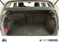Volkswagen Golf VII IQ. Drive 1.0 TSI PDC+ACC+KLIMA Weiß - thumbnail 17