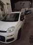 Fiat Panda 1.3 mjt 16v Trekking 75cv - thumbnail 5