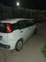 Fiat Panda 1.3 mjt 16v Trekking 75cv - thumbnail 3