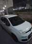 Fiat Panda 1.3 mjt 16v Trekking 75cv - thumbnail 4