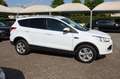 Ford Kuga 2.0 TDCI 120CV Titanium EURO 6 Bianco - thumbnail 13