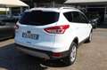 Ford Kuga 2.0 TDCI 120CV Titanium EURO 6 Bianco - thumbnail 2
