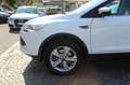Ford Kuga 2.0 TDCI 120CV Titanium EURO 6 Bianco - thumbnail 26