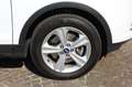 Ford Kuga 2.0 TDCI 120CV Titanium EURO 6 Bianco - thumbnail 27