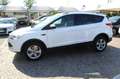 Ford Kuga 2.0 TDCI 120CV Titanium EURO 6 Bianco - thumbnail 25