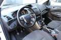 Ford Kuga 2.0 TDCI 120CV Titanium EURO 6 Bianco - thumbnail 3