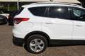 Ford Kuga 2.0 TDCI 120CV Titanium EURO 6 Bianco - thumbnail 31