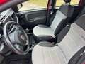 Fiat Panda Panda Cross 1.0 hybrid City KM CERTIFICATI 1 PROPR Rosso - thumbnail 10