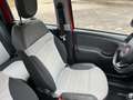 Fiat Panda Panda Cross 1.0 hybrid City KM CERTIFICATI 1 PROPR Rosso - thumbnail 9