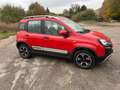 Fiat Panda Panda Cross 1.0 hybrid City KM CERTIFICATI 1 PROPR Rosso - thumbnail 2