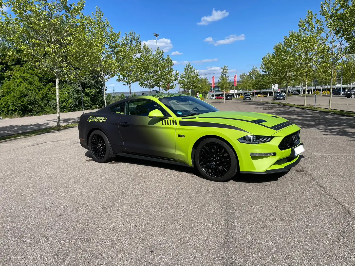 Ford Mustang Ford Mustang GT 5.0 V8 Premium | 449 PS - 1