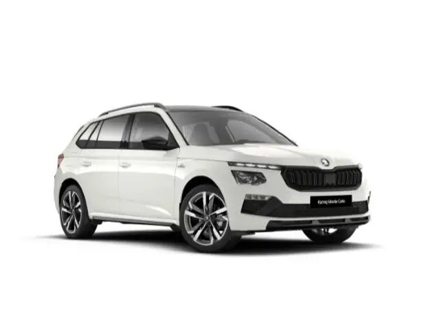 Skoda Kamiq view 2