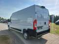 Opel Movano Cargo L3H2+NAVI+STANDHEIZUNG+TOT-WINKEL+ Weiß - thumbnail 7