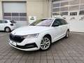Skoda Octavia Octavia Combi 2,0 TDI 4x4 Style DSG  **1.BESITZ** Weiß - thumbnail 3